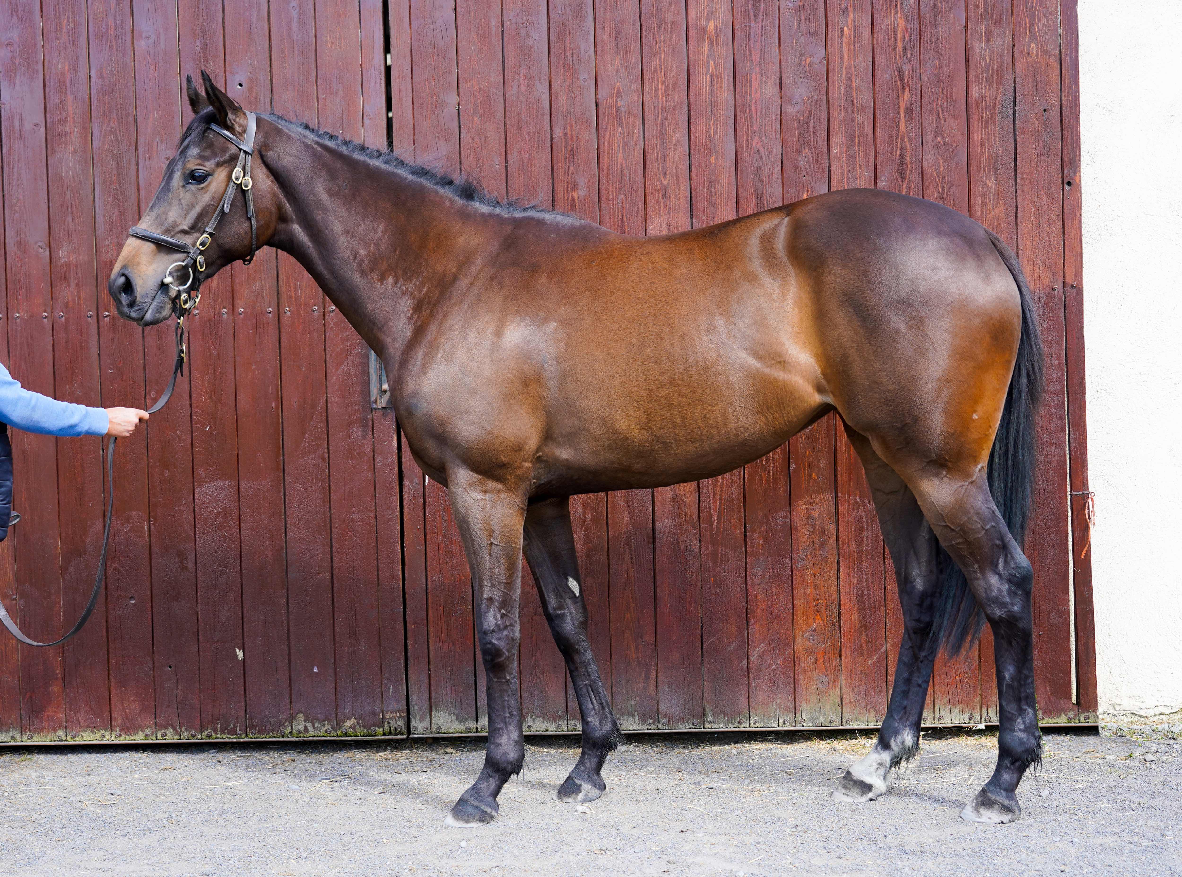 Other Sales for this Lot